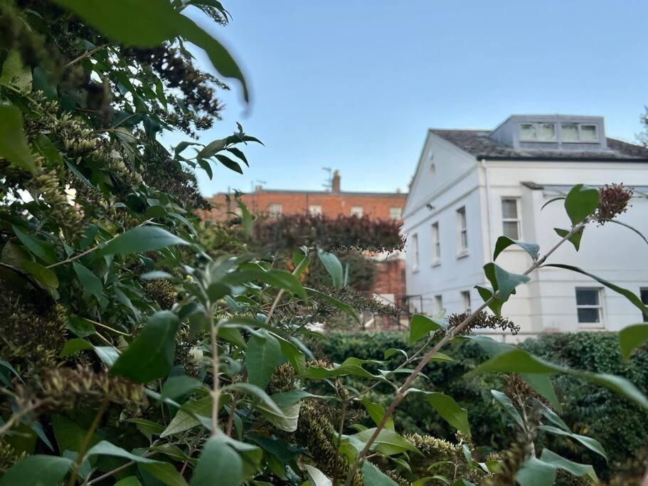 Vernon Place Town Centre, Vernon Cottage 3-Bed With Parking, 1A Vernon Court 2-Bed With Parking, 1B Studio No Parking, Off The High Street Next To Sandford Park كيلتنهام المظهر الخارجي الصورة