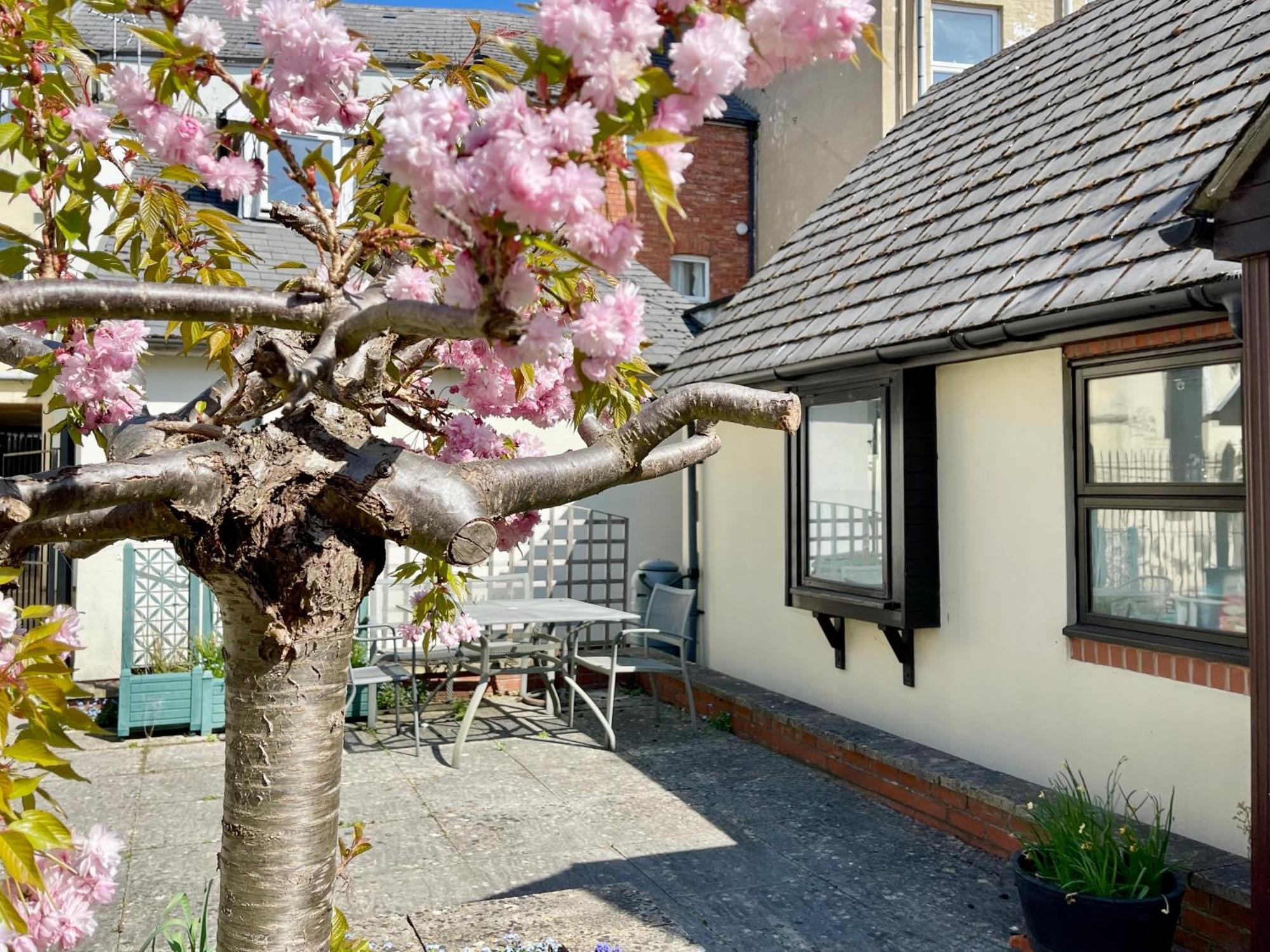 Vernon Place Town Centre, Vernon Cottage 3-Bed With Parking, 1A Vernon Court 2-Bed With Parking, 1B Studio No Parking, Off The High Street Next To Sandford Park كيلتنهام المظهر الخارجي الصورة